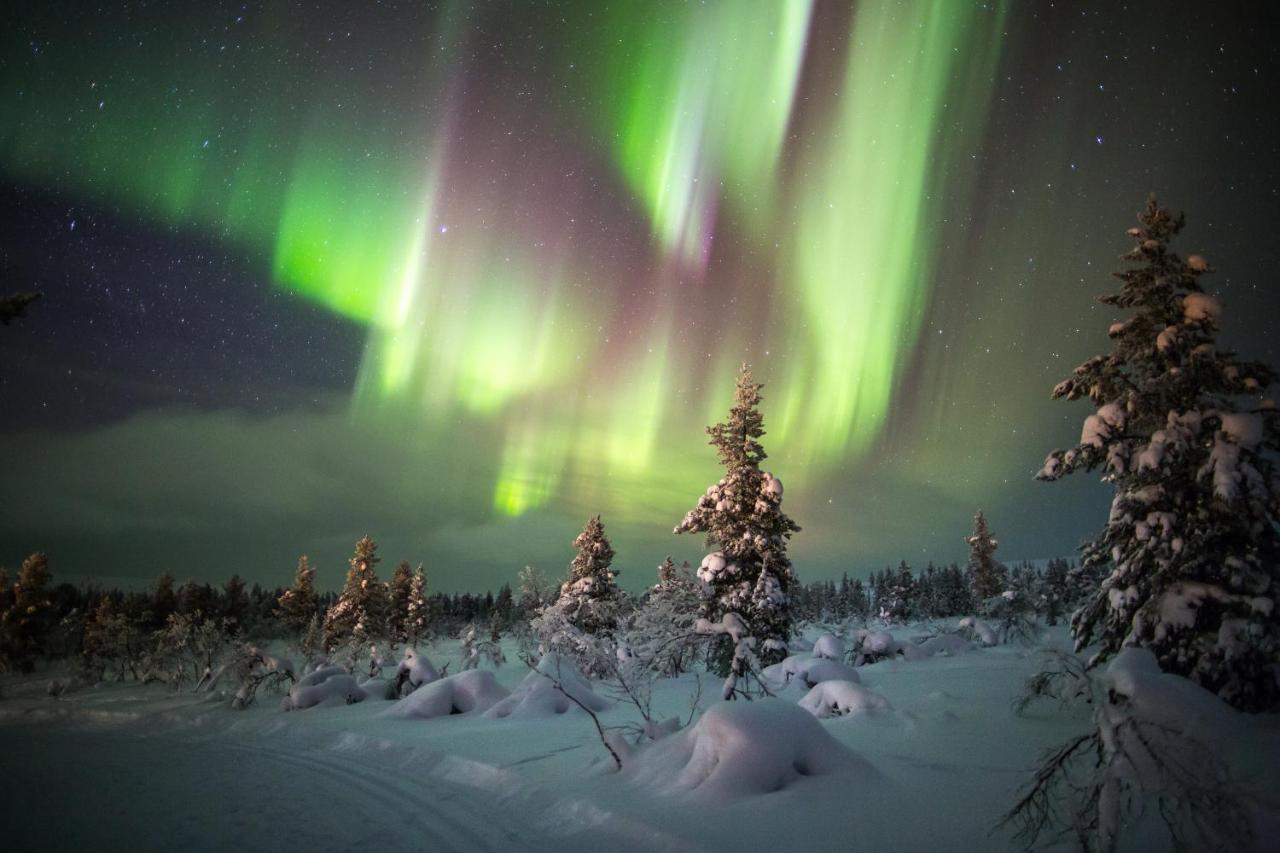 Hotel Golden Circle Suites Rovaniemi Bagian luar foto